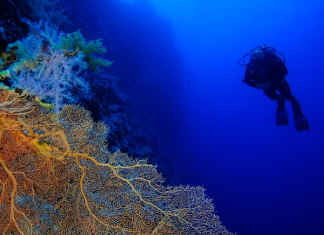 Diving