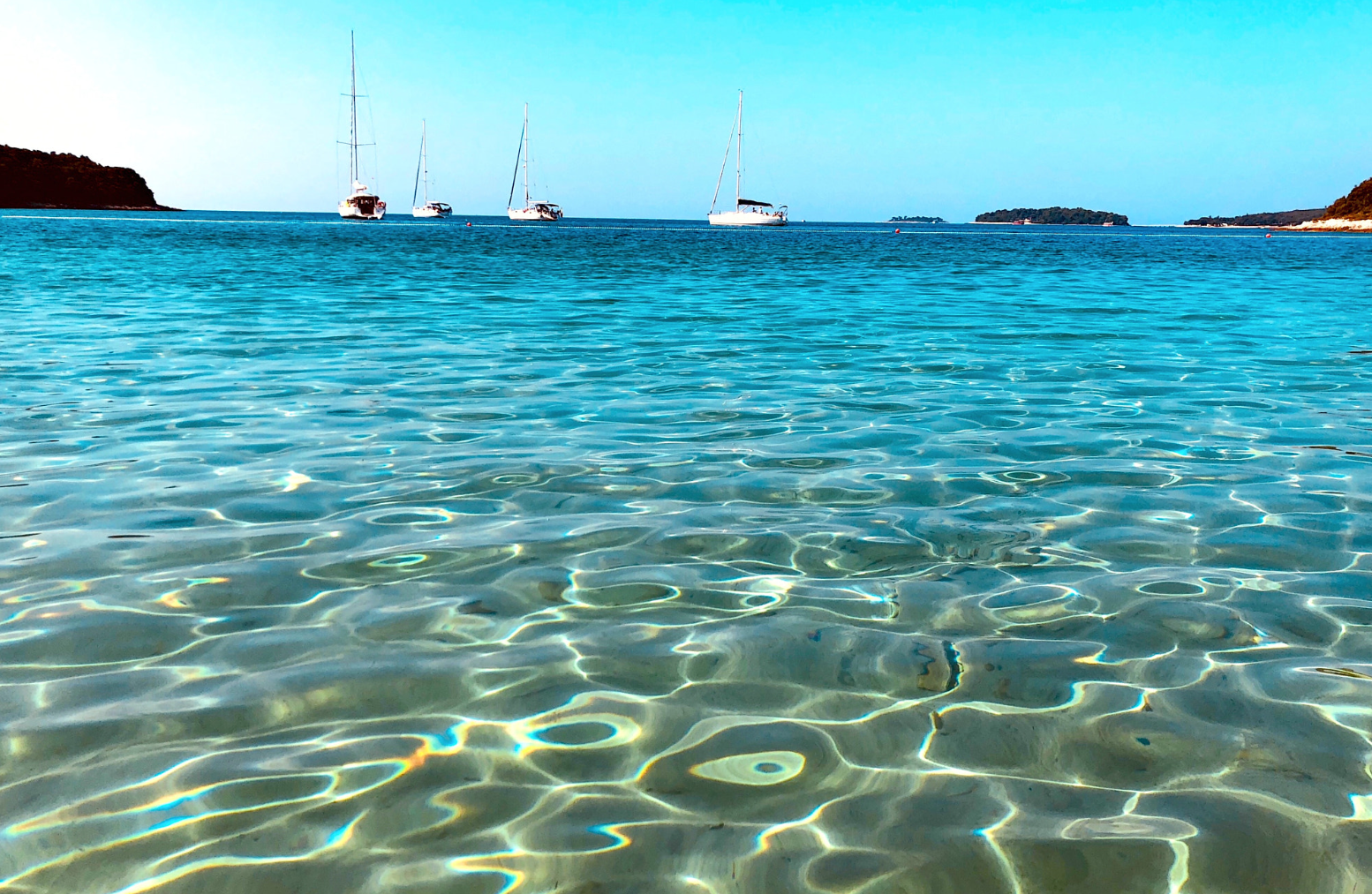 scrnli_30- 06- 2024- 18-36-52